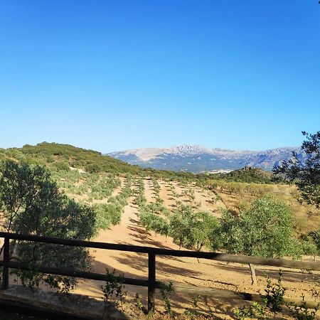 Villanueva del RosarioCortijo El Arrejadero别墅 外观 照片