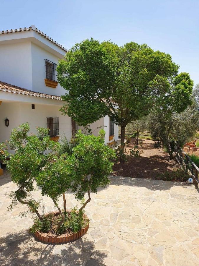 Villanueva del RosarioCortijo El Arrejadero别墅 外观 照片